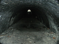 swad_02_200.jpg