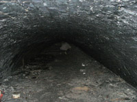 swad_03_200.jpg