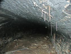 swad_06_200.jpg