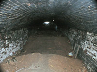 swad_08_200.jpg