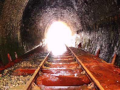 bradnop2_04s.jpg