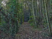bridgnorth_20s.jpg