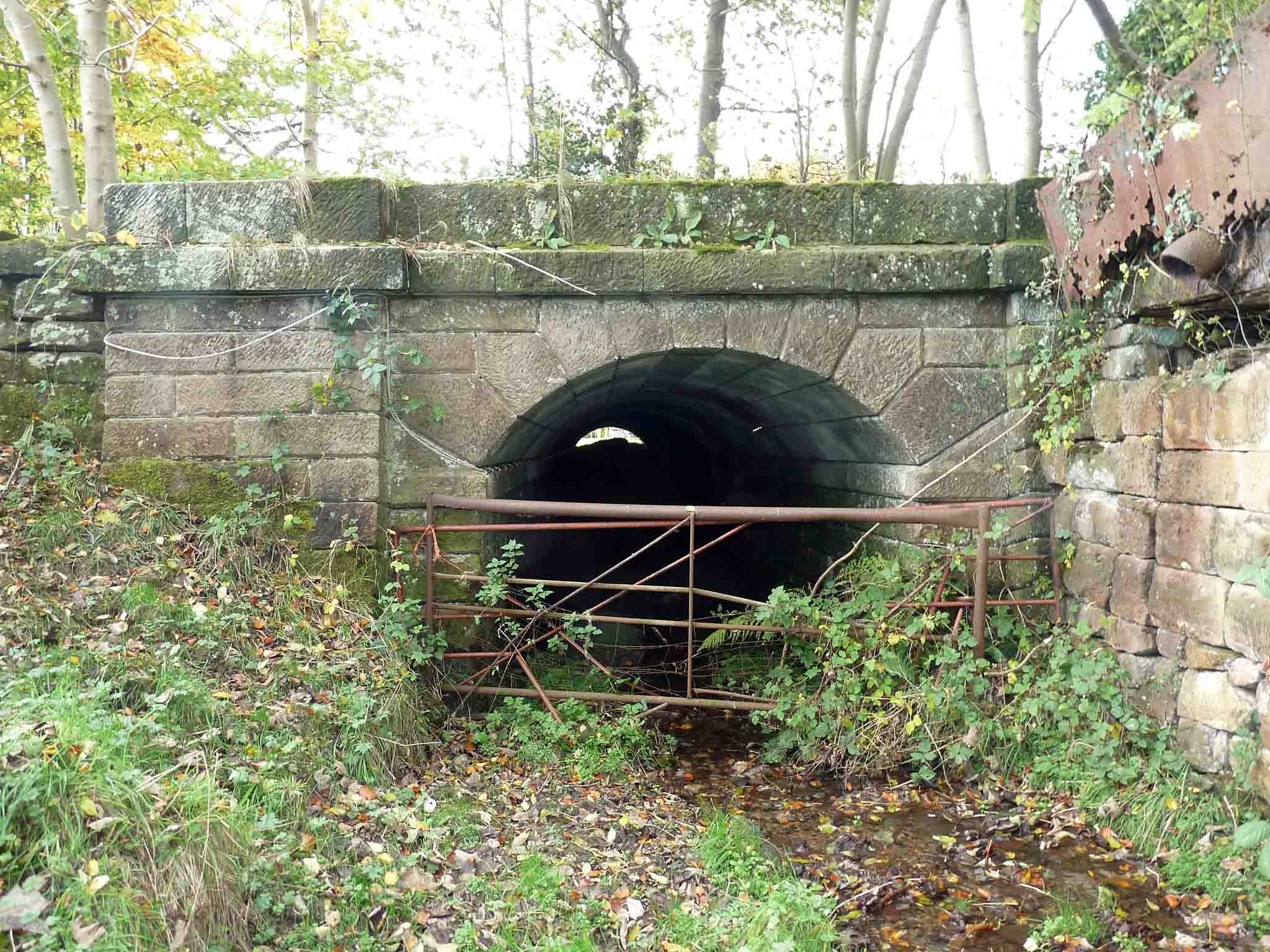 oldridge_01.jpg