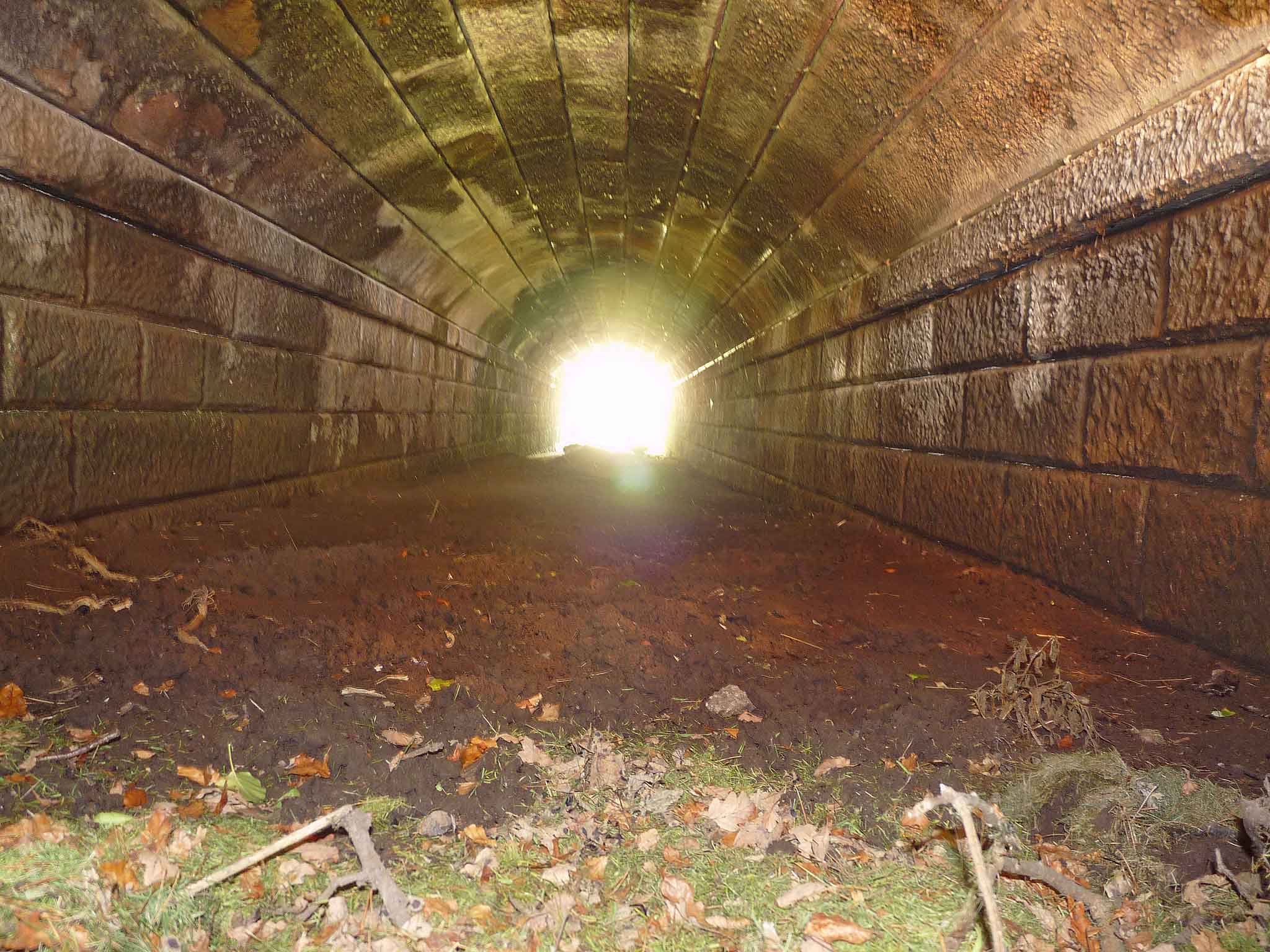 oldridge_05.jpg
