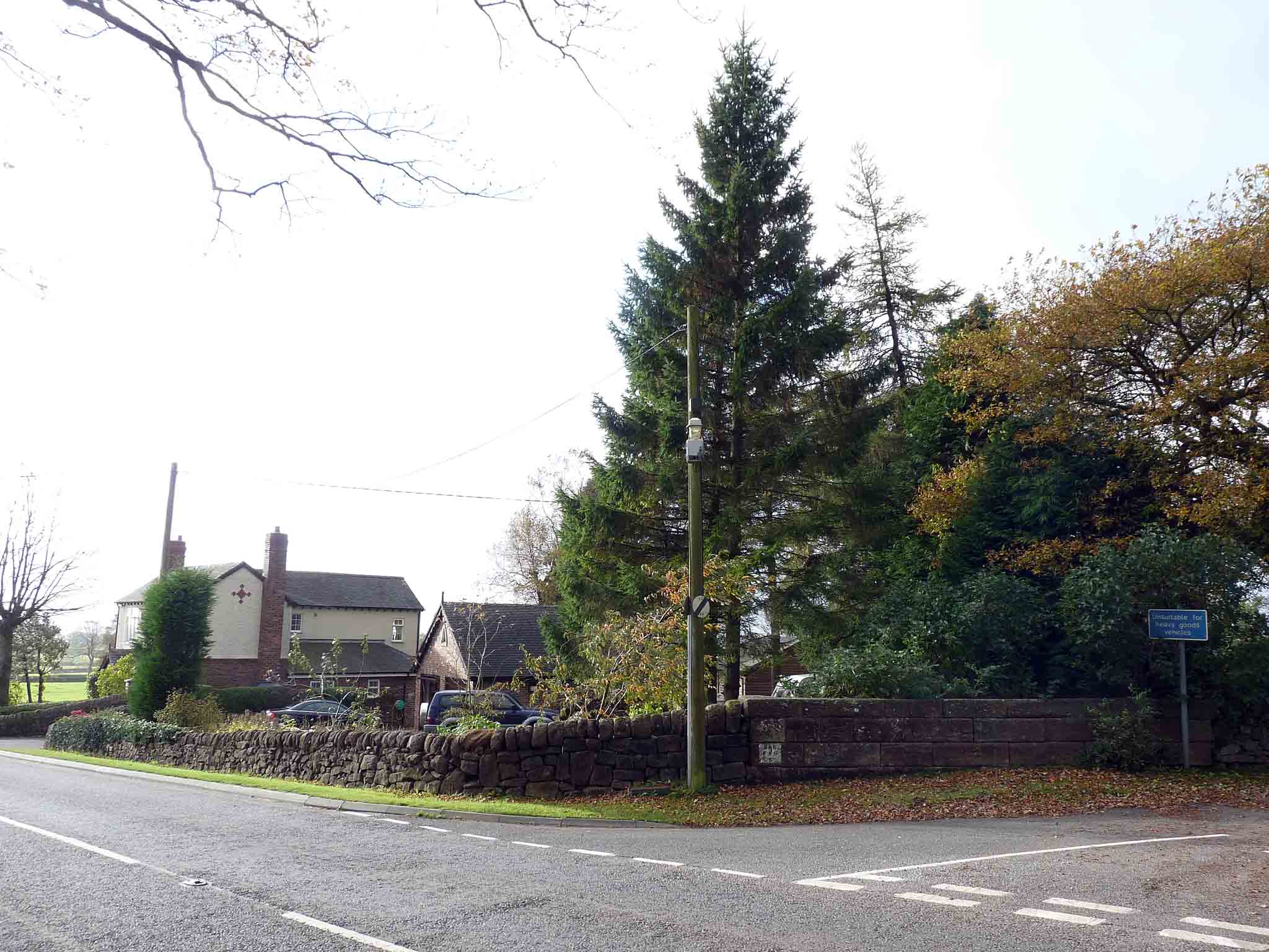 oldridge_07.jpg