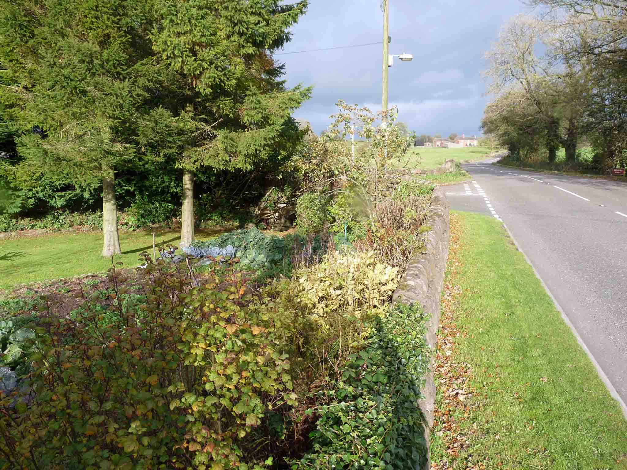 oldridge_08.jpg