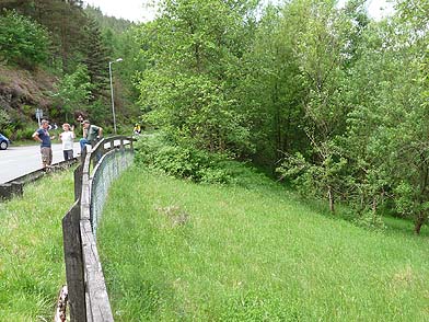 cymmer_02s.jpg