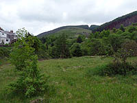 images/rhondda_w_06s.jpg